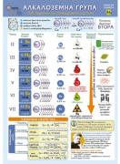 Учебно табло - Алкалоземна група