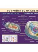 Учебно табло: Устройство на клетката - с лайсни