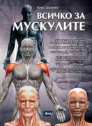 Всичко за мускулите