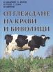 Отглеждане на крави и биволици